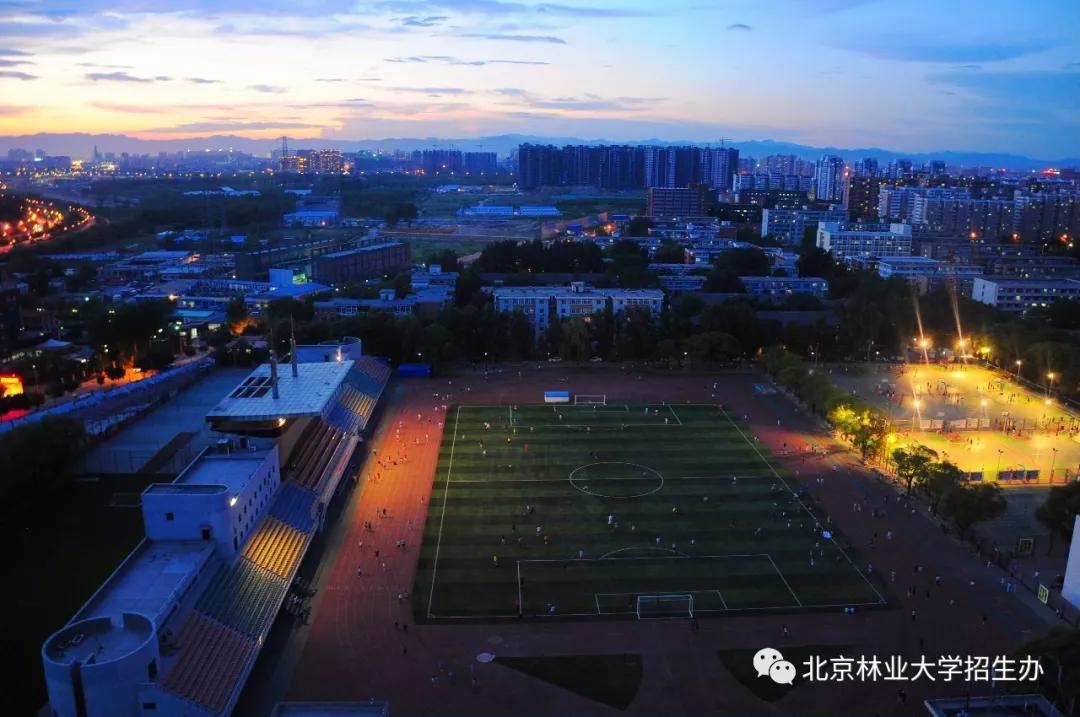 北京“绿色学府”:占地13176亩,坐拥8大餐厅,新华社、中央电视台聚焦关注!