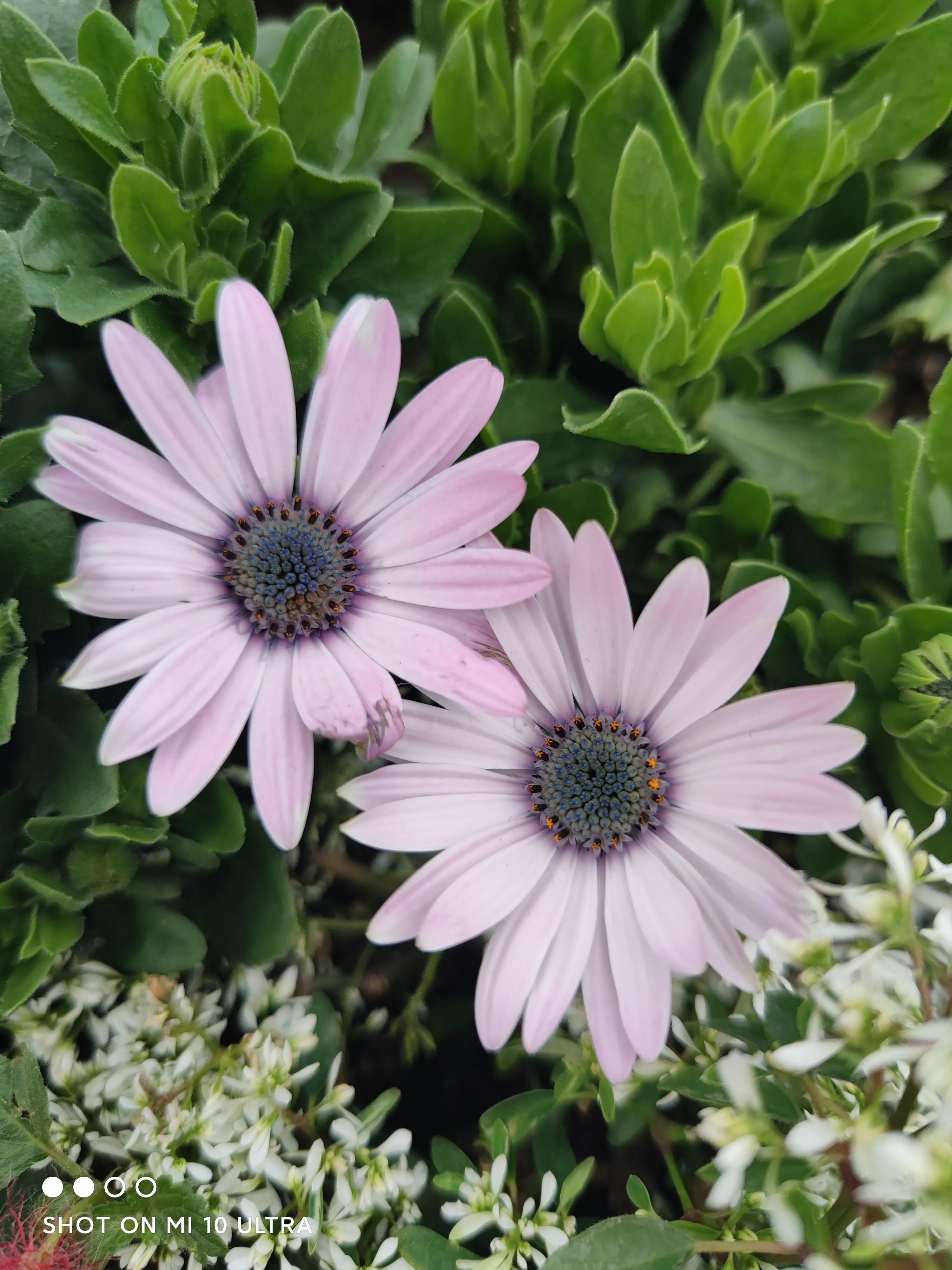 老子和易经智慧开启青年人成功之路