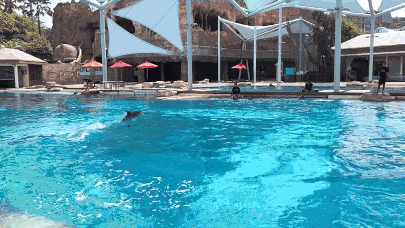 圣淘沙名胜世界攻略,请收下这份旅游攻略