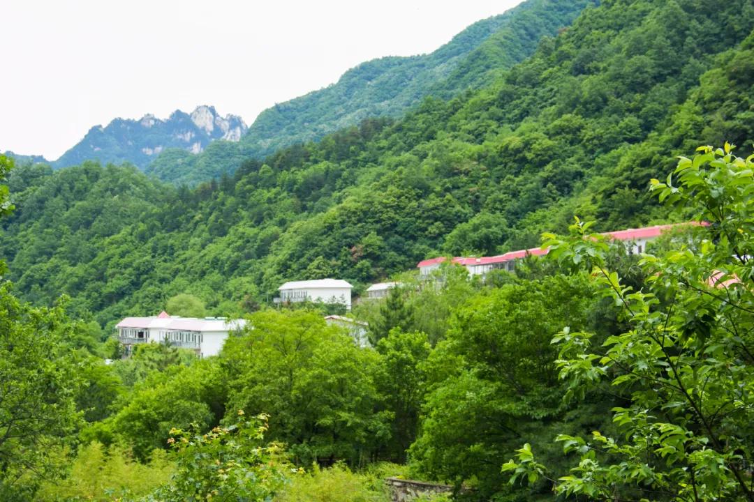 秦岭沣峪口上山有哪些景点,秦岭大坝沟瀑布
