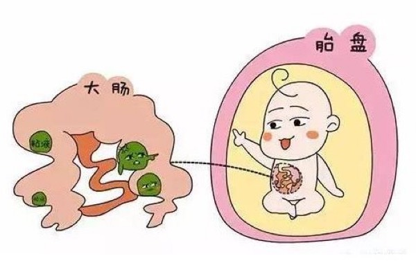 如何预防羊水浑浊,胎儿每月最怕什么准妈妈要注意