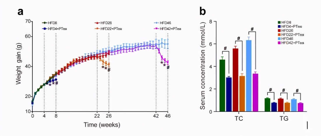 预防三高的中药粉,预防胆固醇和甘油三酯过高药物