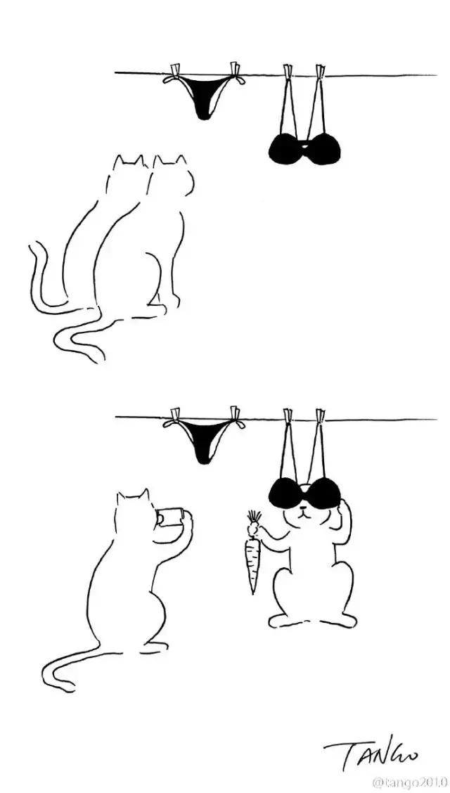 卧槽，这是谁画的，给我站出来，看完忍不住笑出猪叫