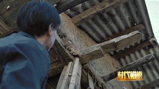 人民大会堂推销土豆,收1500个农民学生,10亿专利无偿送出,64岁的农民院士朱有勇火了!