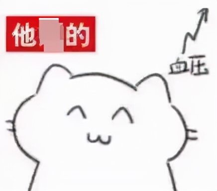 谷歌浏览器真假,为什么谷歌浏览器打不开