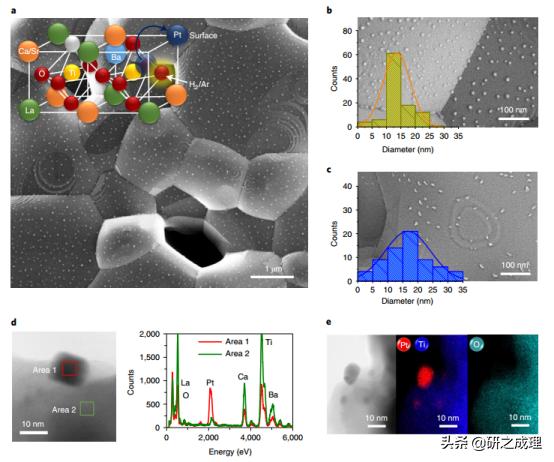 最新NatureChemistry：保护Pt活性