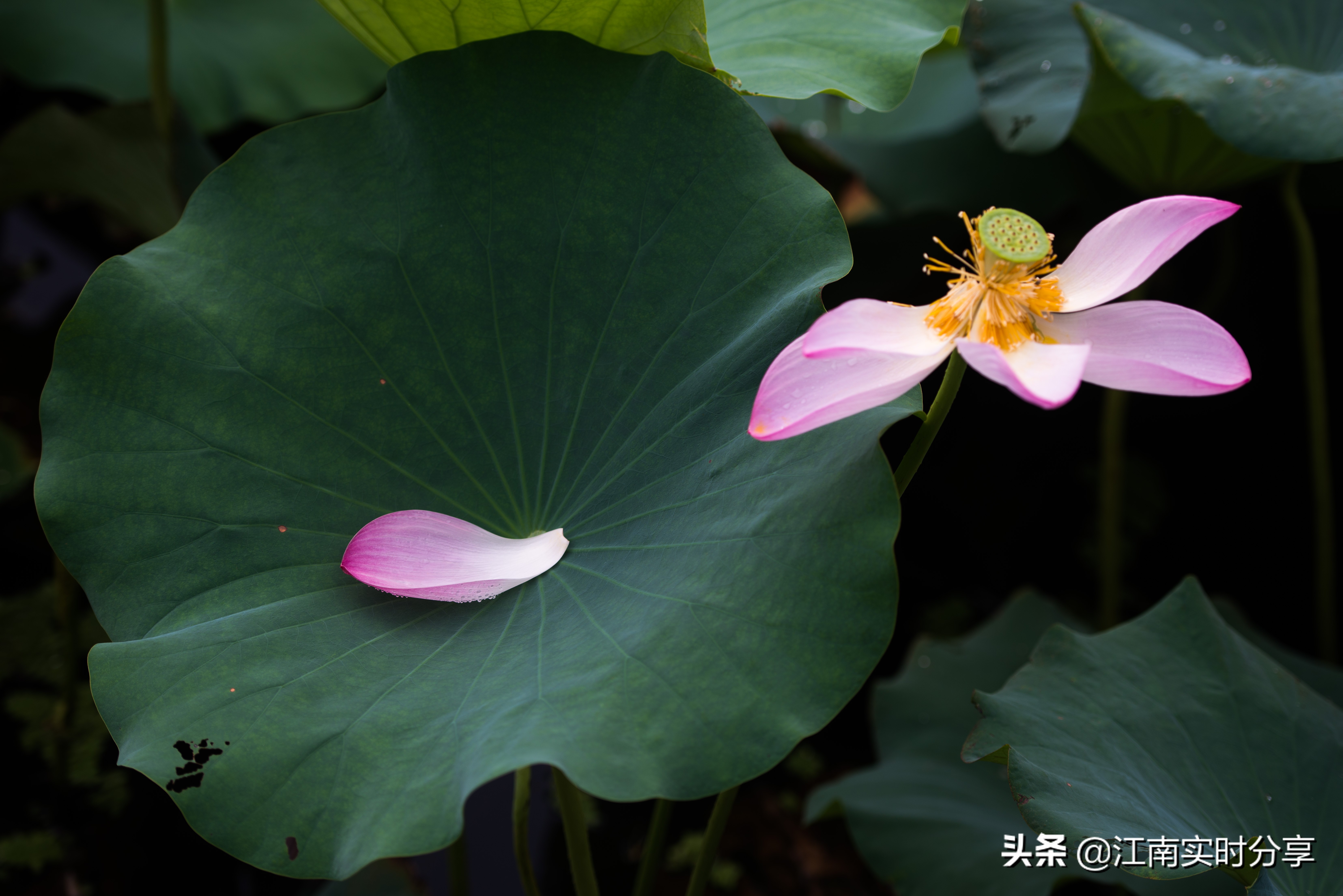 无锡自驾旅游景点推荐一日游攻略,无锡暑期旅游攻略