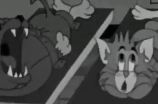 猫和老鼠消失的第22期视频,猫和老鼠22集消失之谜