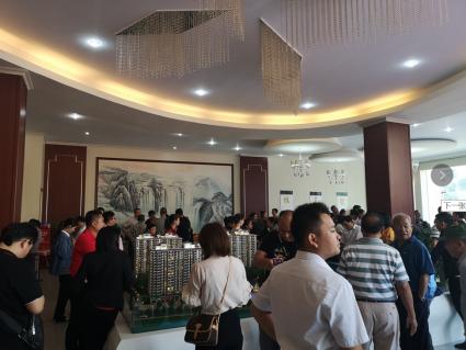 鐩涘娍鍚埅,鐩涘娍璧疯埅