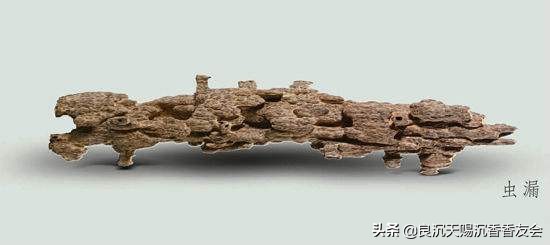 沉香虫漏香是什么原因,虫漏香真假区分