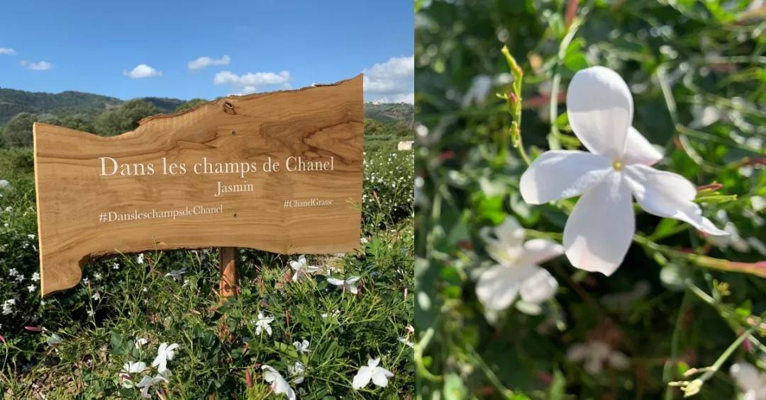 世界上最有年味的小镇,世界上最清幽的小镇