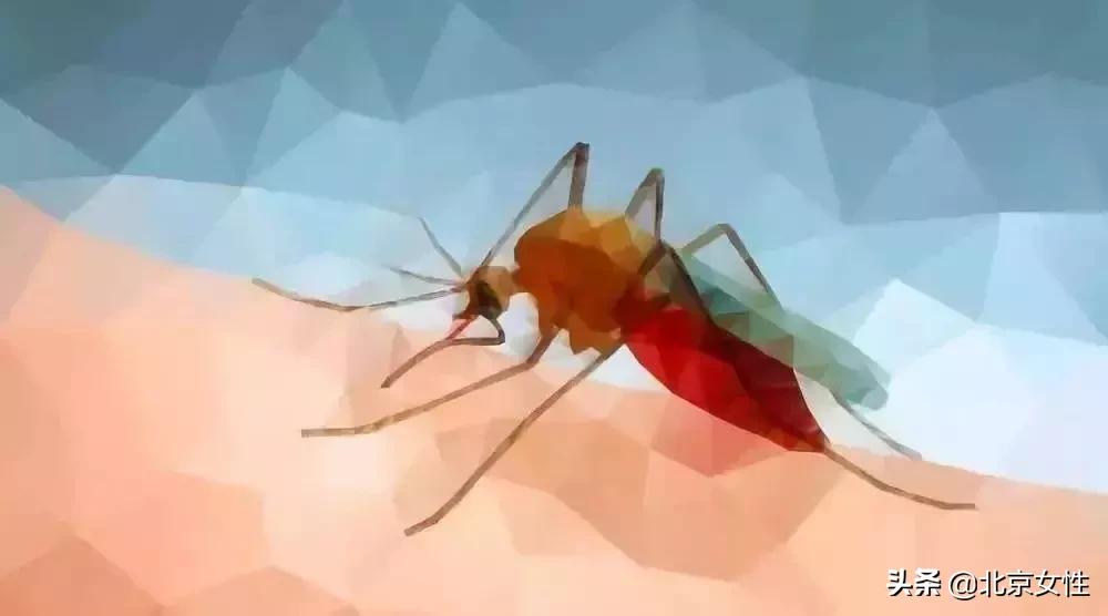 宝宝最好的防蚊方法,防蚊小妙招顺口溜