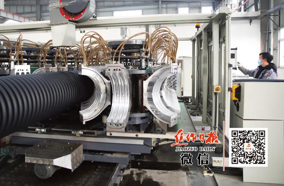 激动不？？？“金星奖”！！！温县一把抓住“牛鼻子”……