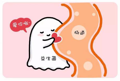 如何选购适合自己的益生菌,市面益生菌琳琅满目