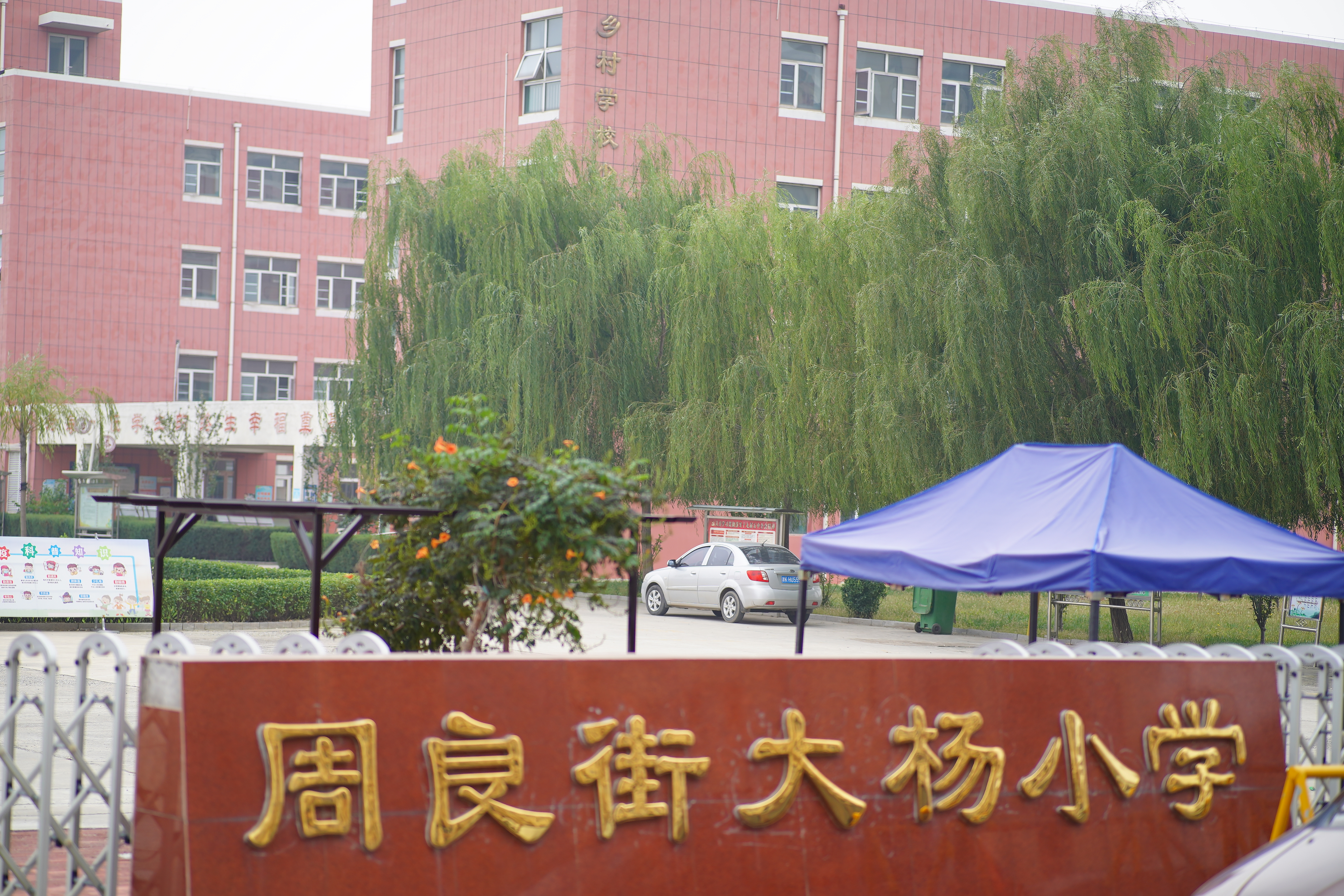 瀹濆澔浜触鏂板煄涓轰粈涔堟槸楝煎煄,瀹濆澔浜触鏂板煄杩樻槸楝煎煄