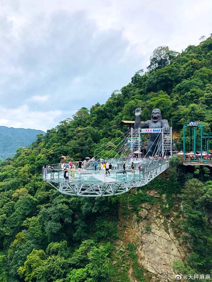 私藏菲律宾同款空中佛手，这座广东小城的落胃美食从早吃到晚