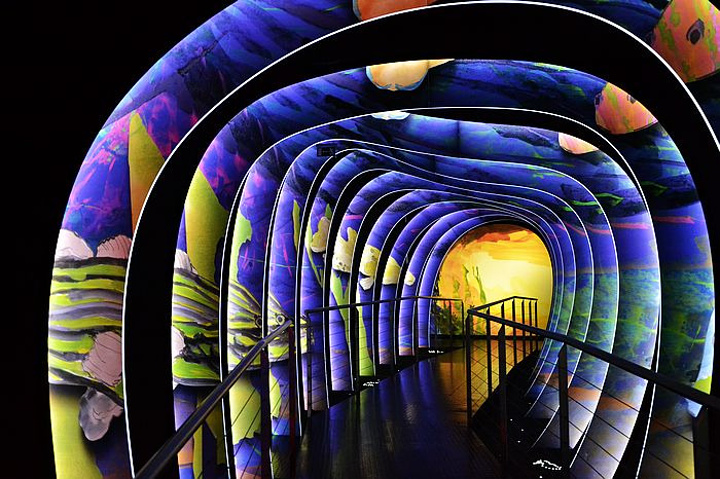 施华洛世奇有什么特别,施华洛世奇水漾魔力