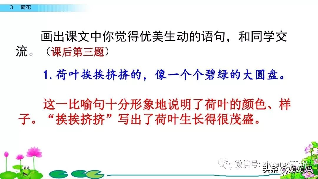 三年级下册荷花ppt课件部编版,三年级下册语文第三课荷花小练笔