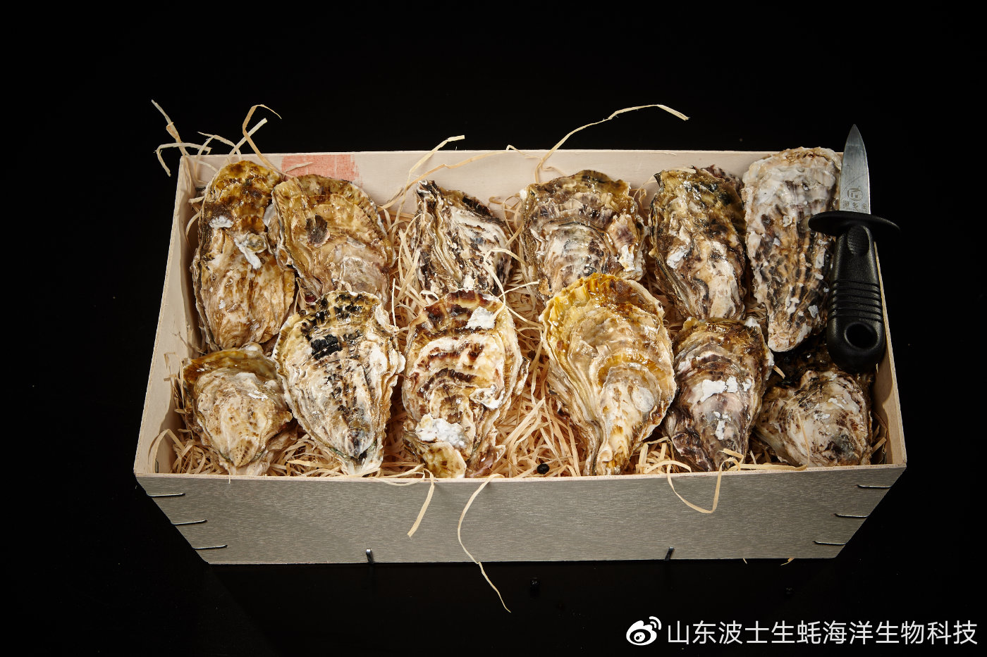 怎么样烤乳山生蚝最好吃,烤生蚝价值百万的秘方送你了