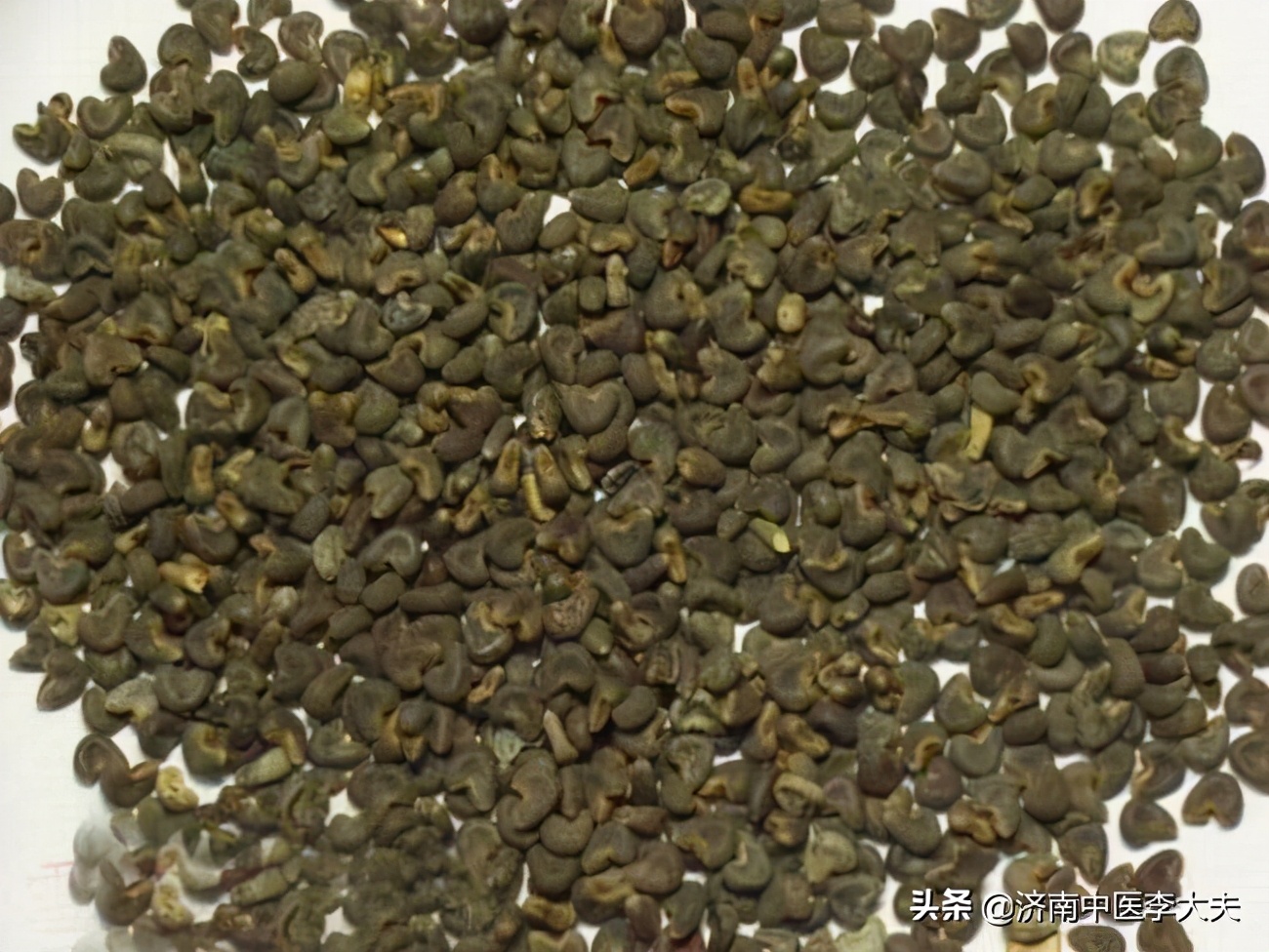 膀胱湿热会导致小便泡沫吗,膀胱湿热会导致什么