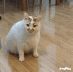 购物小票盖章已检验无过期商品,超市购物付款后还要检查小票吗