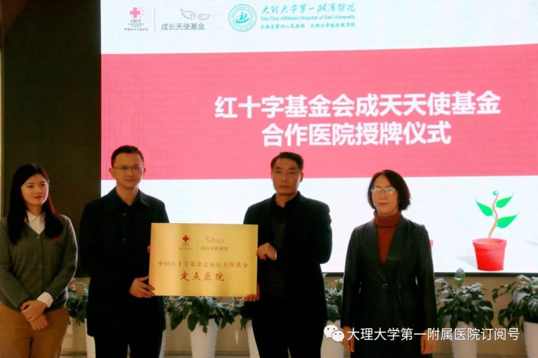 儿童矮小哪个医院治疗的最好,哪个慈善机构帮助儿童矮小症