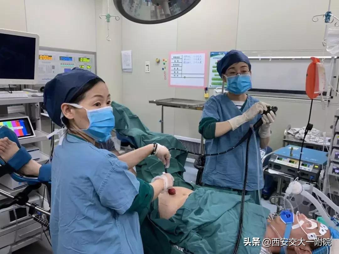 告别胀气堵塞,告别各种肠胃困扰