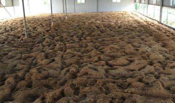 发酵床养鹅的最佳方法,发酵床养鹅的配方