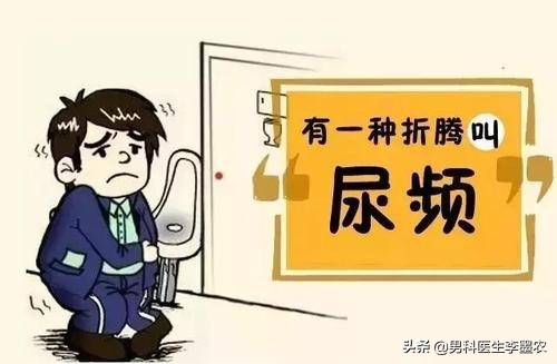经常尿频是什么病的前兆,突发尿频是什么原因导致的