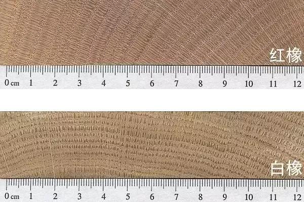 红橡白橡如何从构造上区分,买家具怎么辨别是不是实木