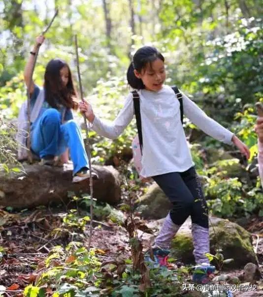 把孩子扔出去对孩子心理伤害大么,要不要让孩子读国际学校