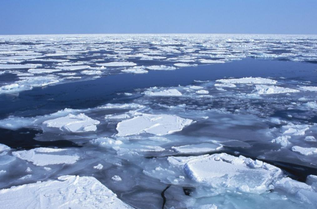 北极再现史前生物,南极爆发新冠疫情,大自然正悄悄惩罚人类