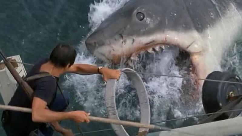 巨型大白鲨真的存在吗,最可怕的巨型大白鲨