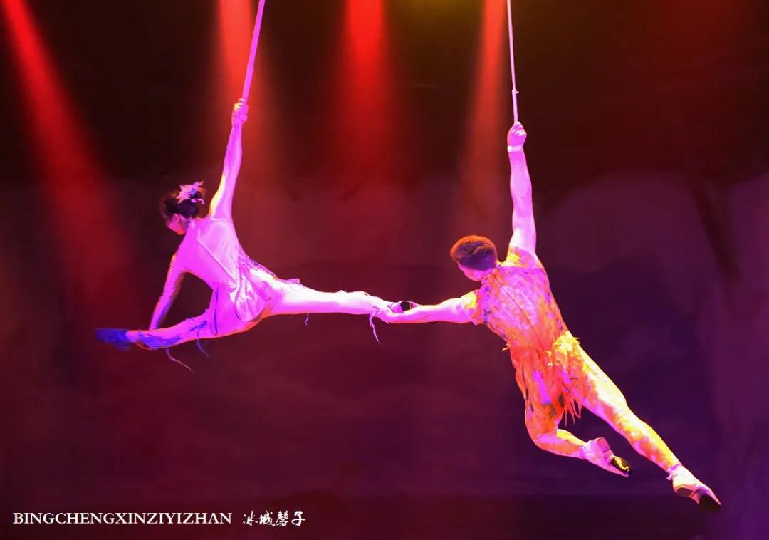 走进哈尔滨完整视频,走进哈尔滨海洋馆