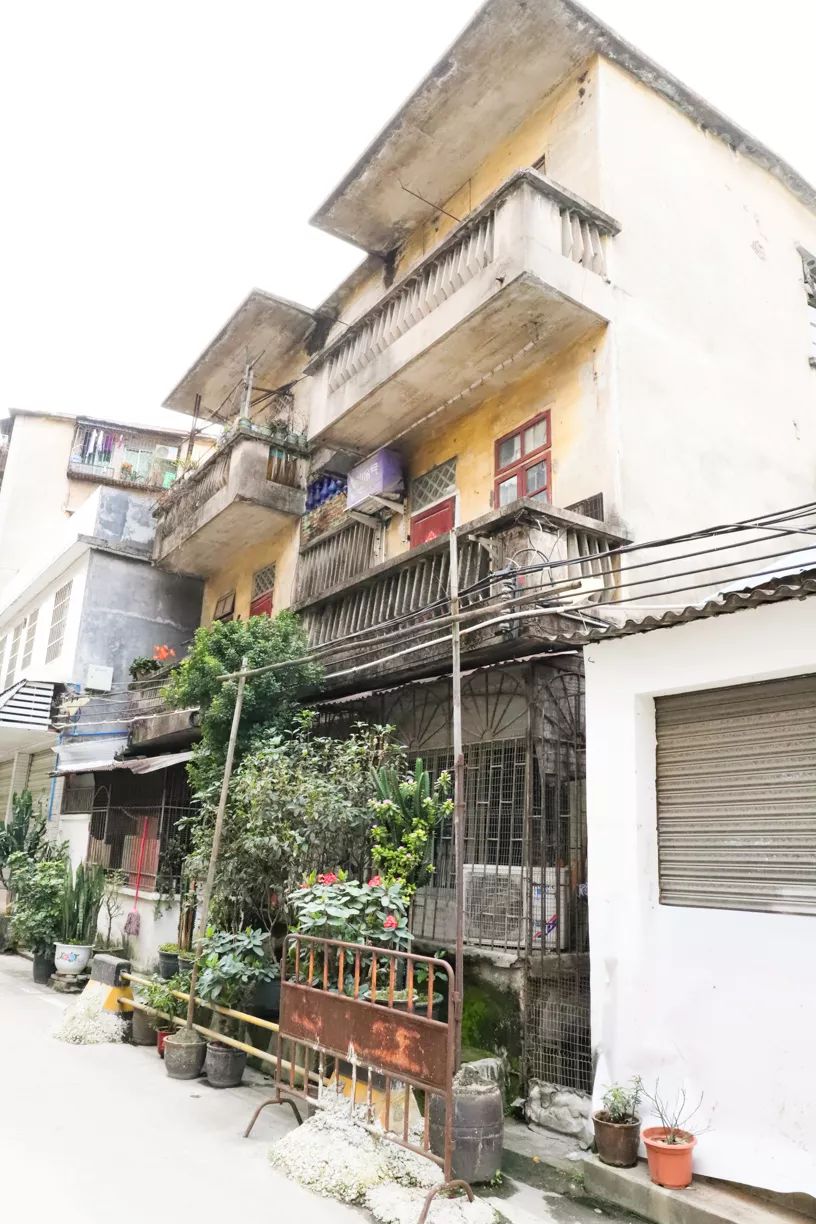 住在东圃，吃胖了广州几代人？