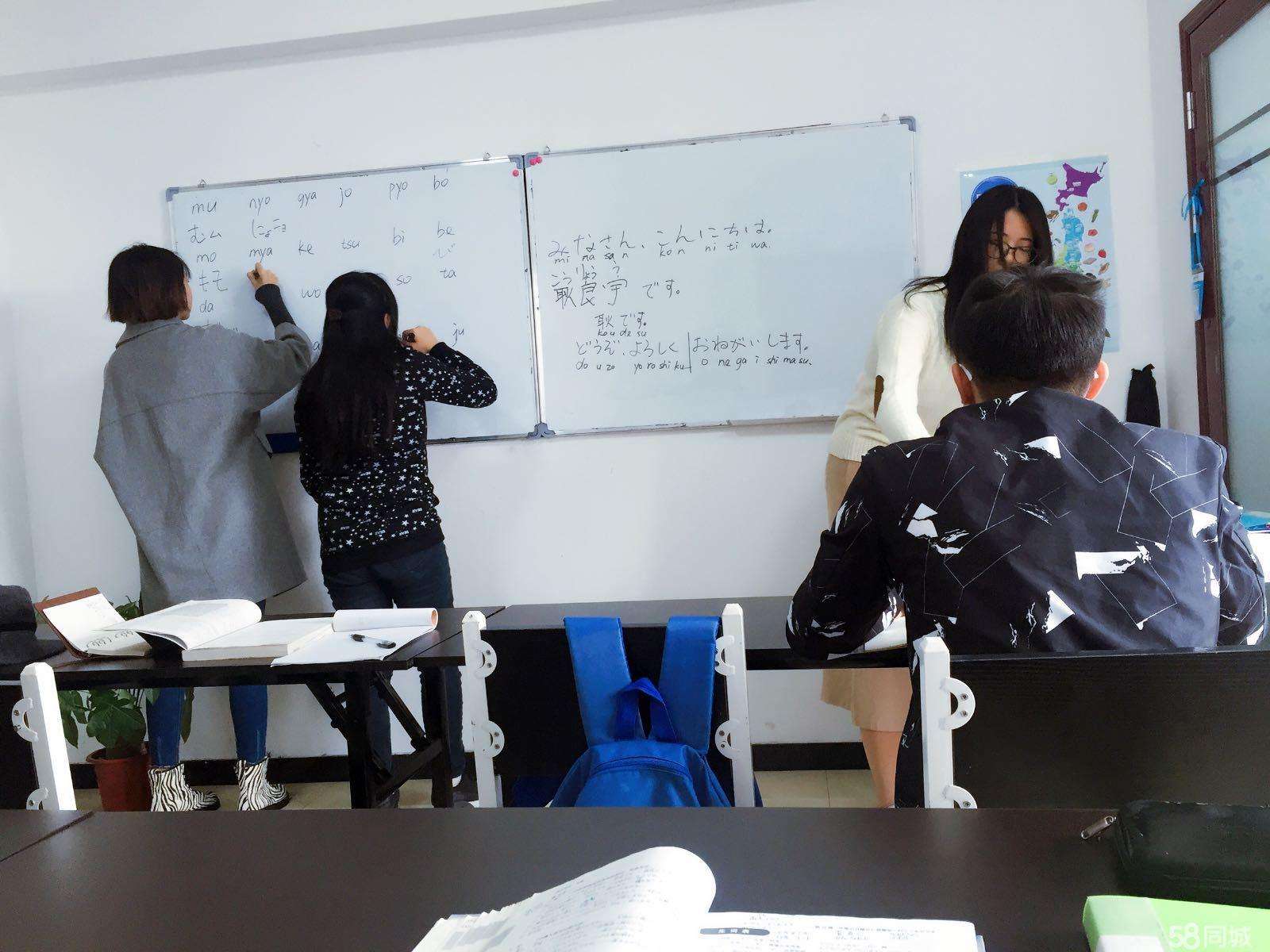 适合文科生上的专业有哪些,适合文科生报考的五大专业