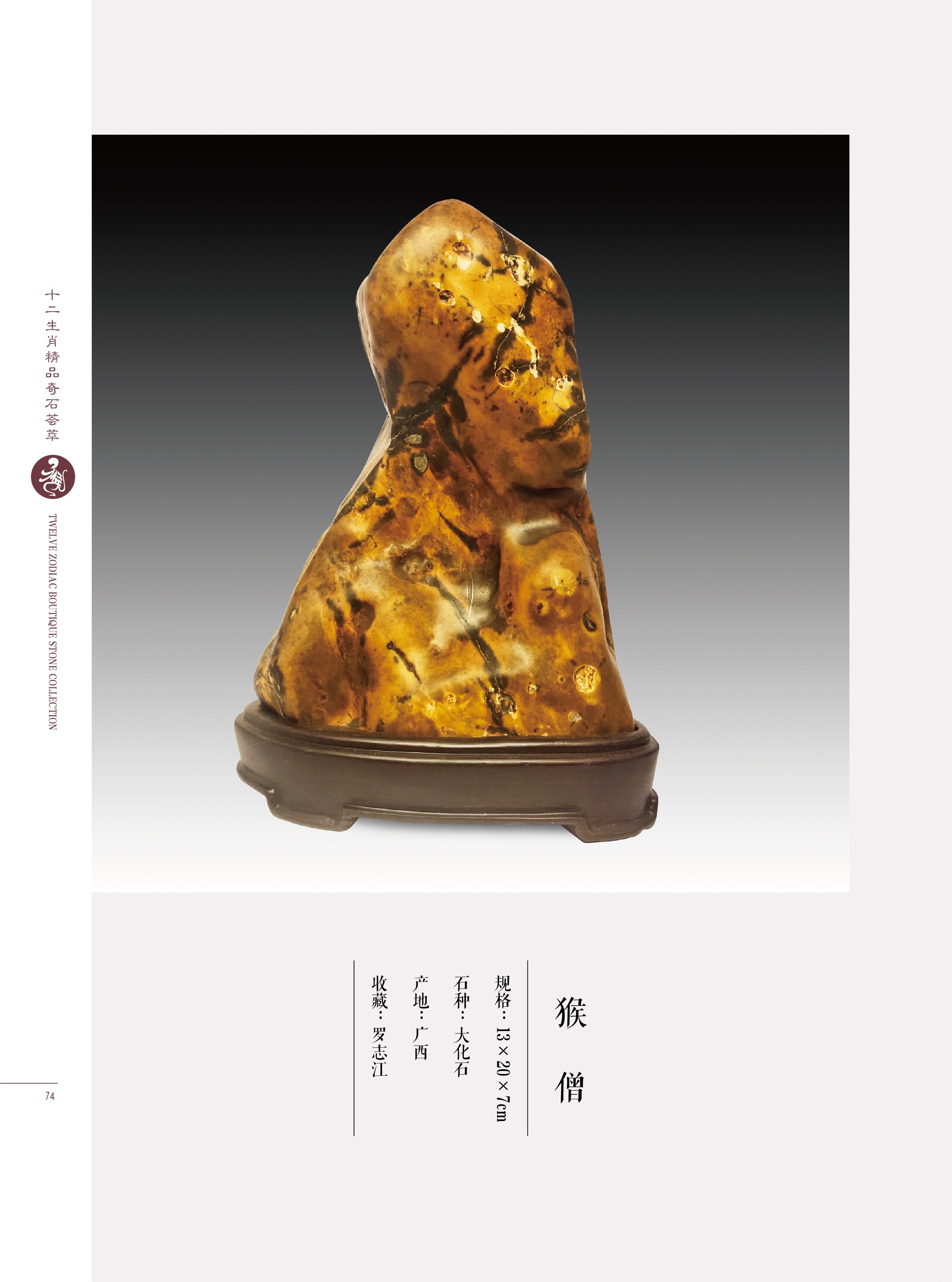 难道猴子真是石头变的?