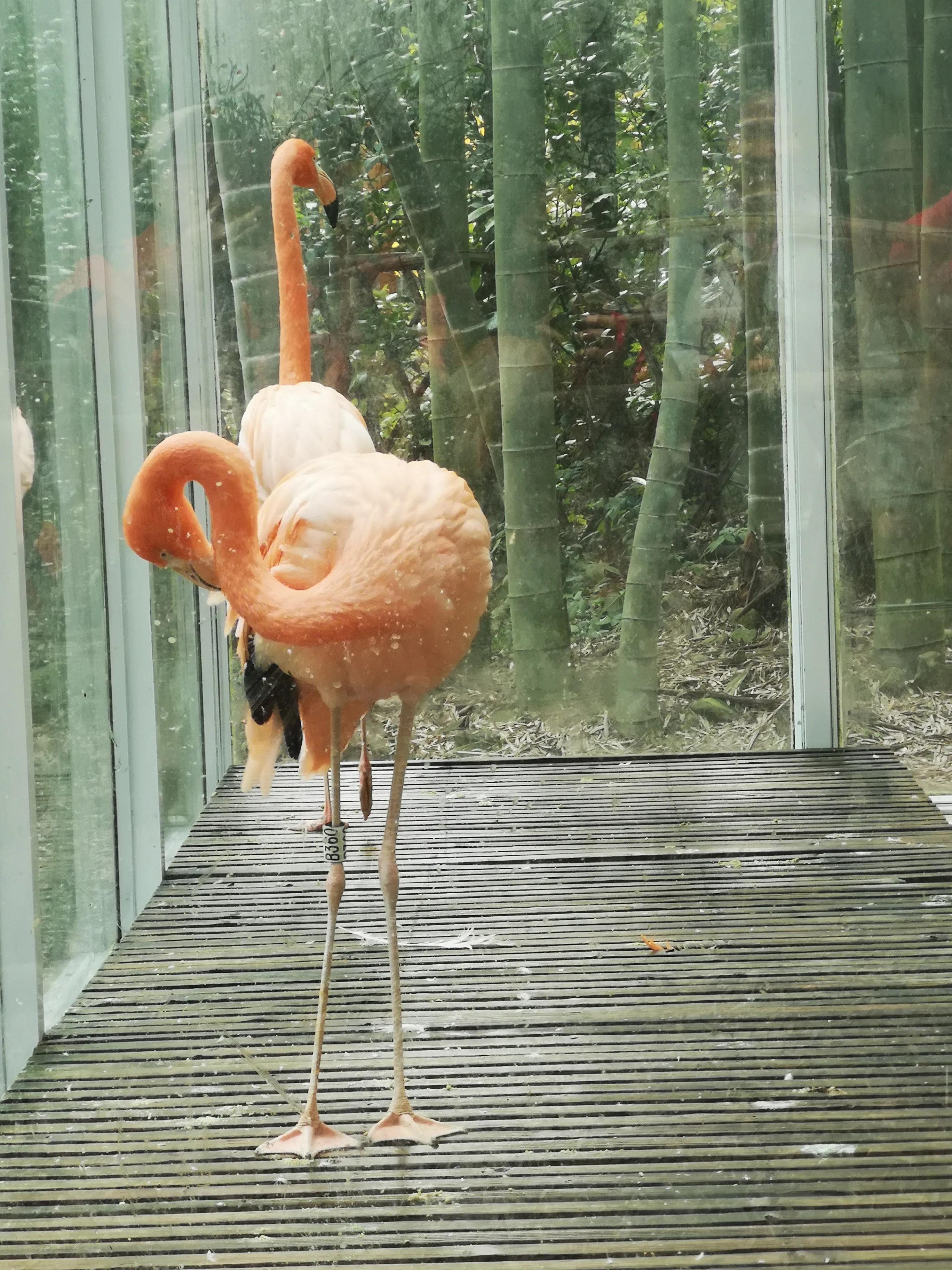 溧阳南山竹海小鸟天堂,宜兴南山竹海和溧阳南山竹海