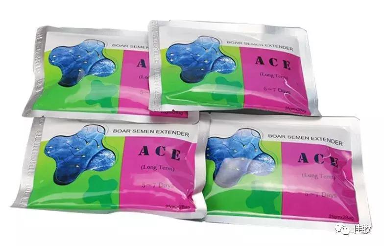 猪人工授精管插多深合适,猪人工授精插管正确方法