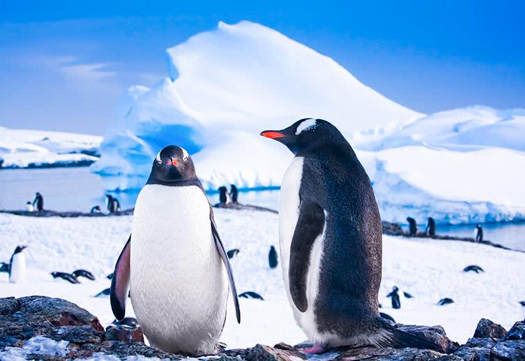 七大洲的全称各是什么,七大洲的名称简介来历