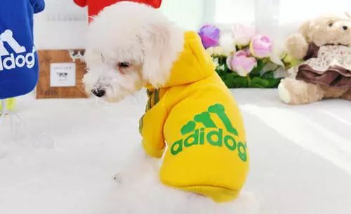 阿迪达斯变身鞋,阿迪达斯adios爆改