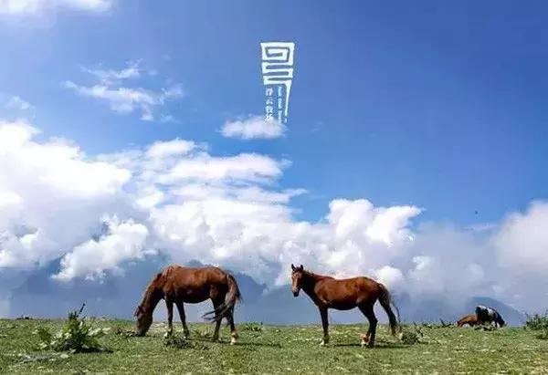 浮云牧场，“爆红”前后带给我们什么启示？