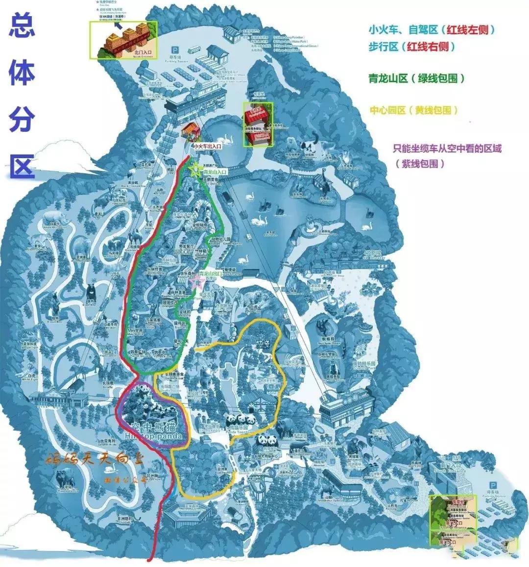 一日长隆野生动物园旅游攻略,暑假去长隆野生动物园自由行攻略