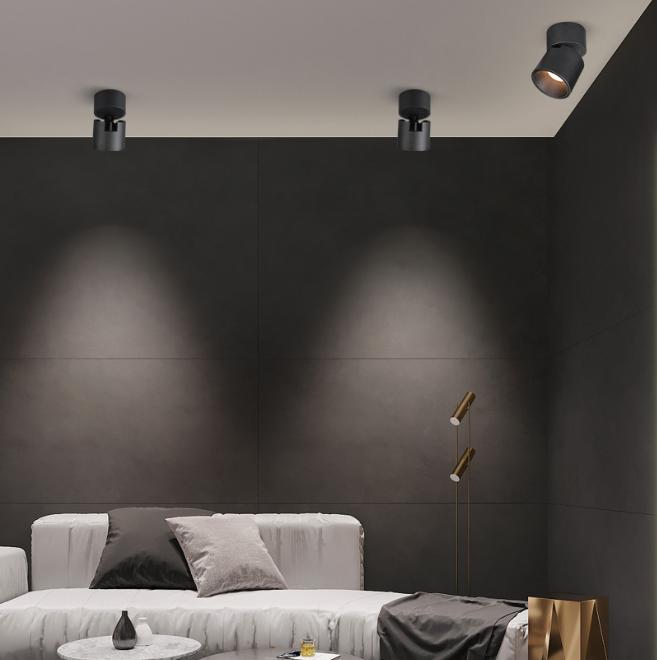 贵的射灯是不是智商税,射灯几十元一个贵吗