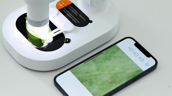 暑假孩子玩手机不如打篮球吧,儿童显微镜放大蚂蚁120倍