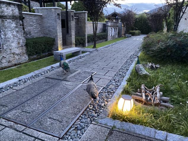 丽江束河看玉龙雪山的最佳酒店,丽江束河住宿推荐