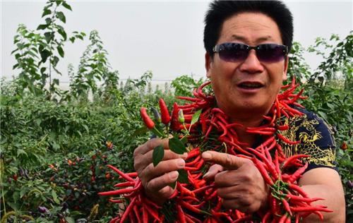 中国辣王李永志吃碎辣椒配白酒,中国辣王李永志讲哪里最能吃辣椒