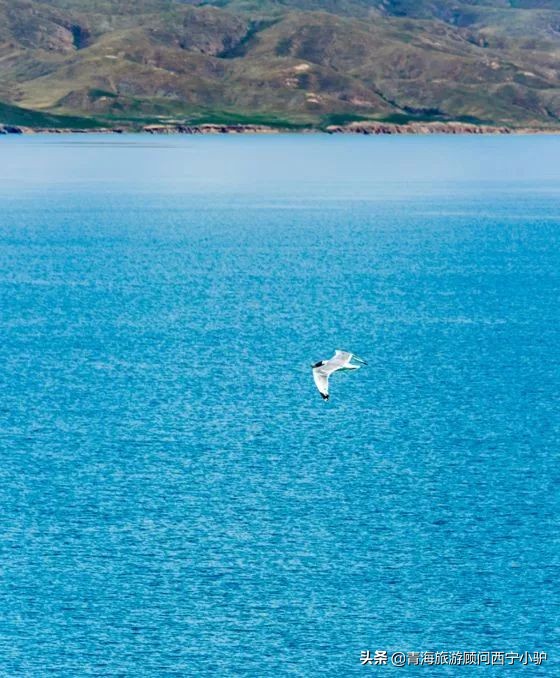 青海隐藏的秘密,青海发现美丽秘境全世界为之瞩目