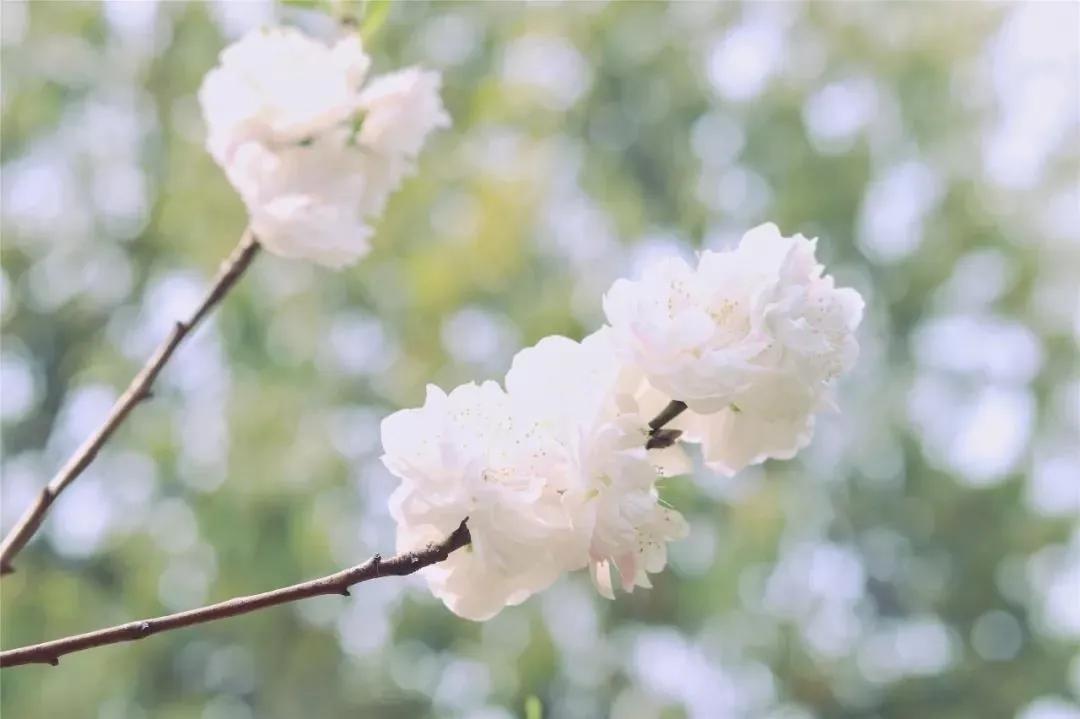 合肥小众风景区,合肥有一处小众景点