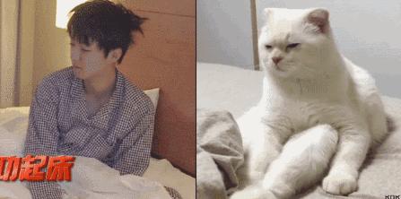 为什么塌鼻梁的女生侧脸好看,塌鼻子的女生不好看